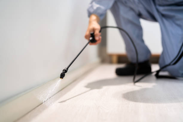 Licensed Cockroach Control service in Binghamton University, NY - Nex Pest Control