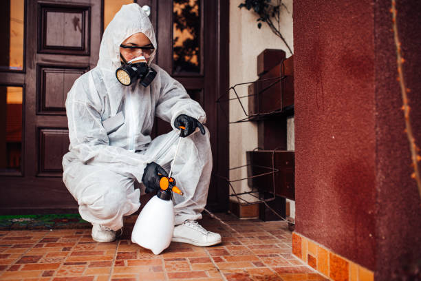 Reliable Cockroach Control contractor in Binghamton University, NY by Nex Pest Control