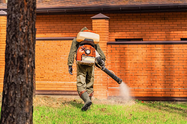 Trusted Emergency Pest Control service in Binghamton University, NY - Nex Pest Control